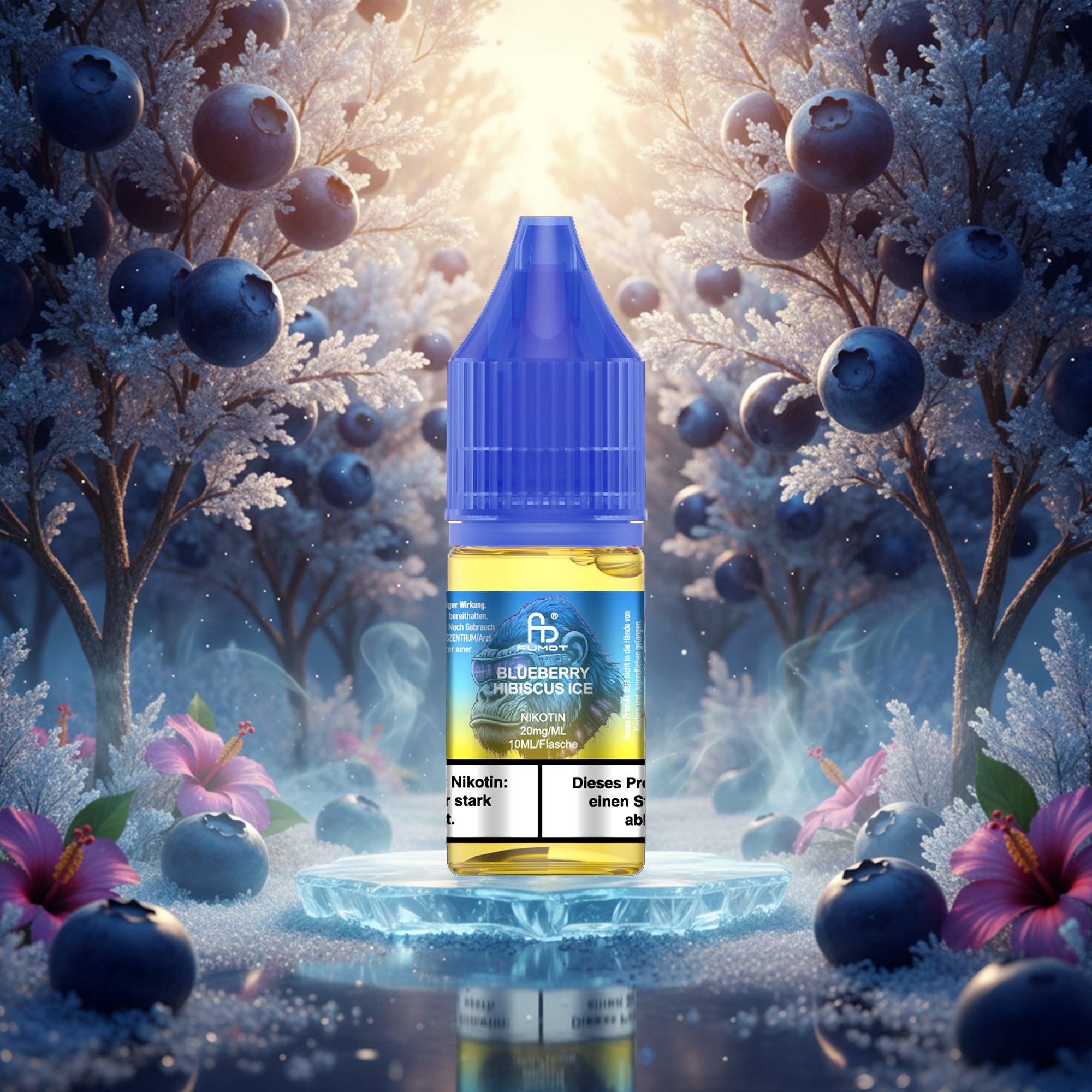 RandM Liquid Blueberry Hibiscus Ice 20mg – E-Liquid kaufen bei The House Of Smoke
